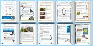 Interesting animal facts for kids not rated yet did you know that a baby giraffe is 2m (6,56 feet) tall at birth. Animals Facts For Kids Habitats Reading Comprehension Pack