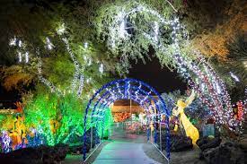 Lights, the cure, the birthday massacre, yousei teikoku. Spots To Visit Holiday Lights Display At Ethel M S Cactus Garden Already Booked Las Vegas Sun Newspaper