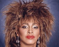 Tina Turner | The Guardian