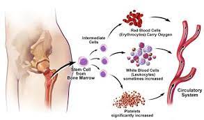 Pin On Causes Close To My Heart