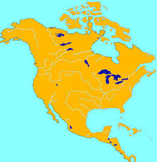 In ce tari din africa, romanii pot emigra fara viza?tari cu limba oficiala engleza. Jocuri Geografie America De Nord