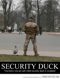 Security Duck Meilleures Photos Droles Photo Drole Animaux Humour Animaux
