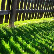When You Should Sow Grass Seed Lawn Uk