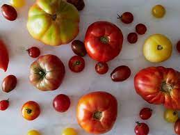 Looking to see how long do tomatoes last. How To Make Summer Tomatoes Last Longer Self