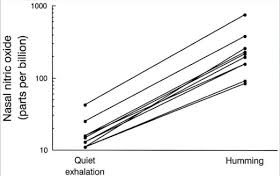 Immune Protective Effects Of Nasal Breathing And Nitric Oxide In The Time Of Covid 19 Dr Rosalba Courtney
