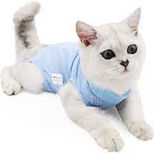 Amazon Com Cat Professional Recovery Suit For Abdominal Wounds Or Skin Diseases E Collar Alternative For Cats And Dogs After Surgery Pet Clothes Pets Cats