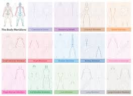 Body Meridian Chart With Names And Different Colors Traditional