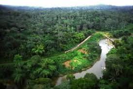 Ci dà coraggio pensare alla speranza per il futuro contenuta nella bibbia. Congo Repubblica Del Sapere It