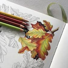 This One Has Me Dreaming Of Spring On These Cold Winter Days Leiladuly Floribunda Prismacolor Coloring Book Art Color Pencil Art Colored Pencil Techniques