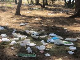 Trash Talk Litter In Vietnam S Beauty Spots In 2020 Beauty Spot Beauty Spots