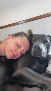 Lost dog Mufasa found in Yuba City Tierra Buena area