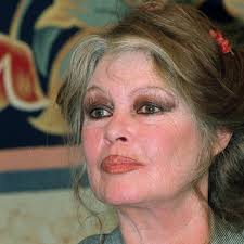 Les contacts sont difficiles" : Brigitte Bardot cash sur sa relation avec  ses arrières-petits-enfants