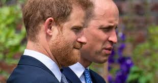 An Diana-Veranstaltung: Harry darf erst sprechen, wenn William nicht mehr  im Raum ist