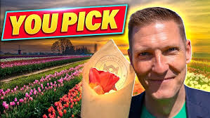 True Color Tulip Farm-Highlighting Local Businesses