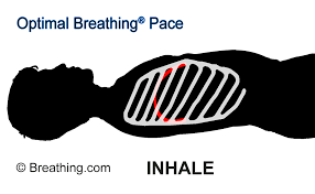 Deep Peace And Breathing Chiropractic Breathe Chiropractic Care