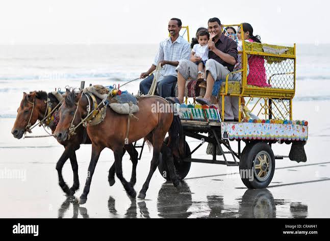 Horse cart mumbai india hi-res stock photography and images - Alamy