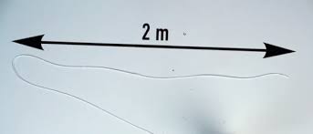 Never had the thieves bothered to carefully unlock my car. How To Unlock Car In Seconds Using Only Piece Of String