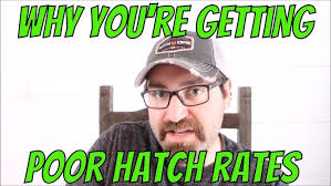 What can I hatch from mixed eggs from Myshire!!! ALL ABOUT THE COLORS!