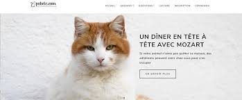 Epingle Sur Startup