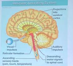 The Law Of Attraction It Happens Bni Dynamic Mackay Facebook