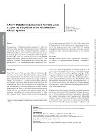 Image result for Rauvolfia mombasiana