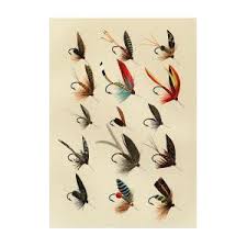 Fly fishing flies are such essential items which are made of different insects, small animals, baitfish, invertebrates, and other fish fodder. Trout Flies 9 Favorite Flies And Their Histories Mixed Media By Movie Poster Prints