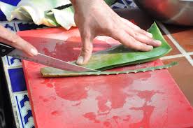 Start by marking curar y cocinar con aloe vera as want to read to ask other readers questions about curar y cocinar con aloe vera, please sign up. Gel Aloe Vera Uso Domestico Aloe De Sorbas