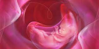 Sudah bisa apa saja sih di usia segitu? Hamil 7 Bulan Janin Mulai Bergerak Dan Ini Gejala Pada Ibu