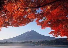 We did not find results for: Musim Luruh Live Japan Jepun Travel Dan Pelancongan Dan Panduan Pengalaman