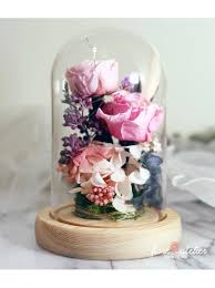 Preserved flowers in glass dome singapore. Preserved Flower Glass Dome With Led