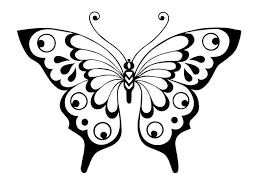 5d3c23a4f35b3d07a226bafb4fcfe7d5 Jpg 736 520 Butterfly Stencil Butterfly Template Butterfly Art
