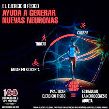 Jürgen Klarić - #CuriosidadesdelCerebro El ejercicio físico ayuda a generar  nuevas neuronas Una de las más conocidas y estudiadas formas de estimular  la neurogénesis adulta es practicar ejercicio físico regular a lo