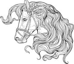 Friesian horse on hind legs, meadow, forest, austria stock. 42 887 Black Horse Cliparts Stock Vector And Royalty Free Black Horse Illustrations