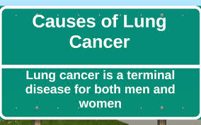 Lung cancer refers to an uncontrolled growth of cells that starts in the lungs. Causes Of Lung Cancer By Nativita Armand
