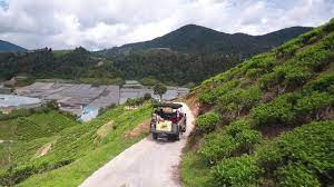 It appears to be slightly smaller than the other tea house. Cameron Valley Tea House Cameron Adventurous Youtube