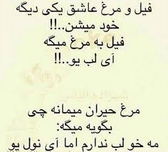 Tu uska dost us ke baray main kesi ko bata raha tha ke yai boht namaazi our naik banda hai. Hahahhaha Funny Quotes Quotes Quotations
