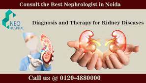 Diagnosis And Therapy For Kidney Diseases By The Best Nephrologist In Noida Diagnosis Kidney Disease Disease