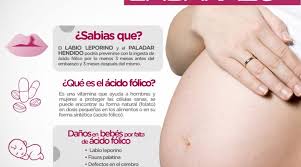 El paladar hendido aislado (sin labio leporino) es poco frecuente y aparece principalmente en el género femenino. Entrega Dif Matamoros Acido Folico Para Prevenir Lph Labio Leporino Y Paladar Hendido