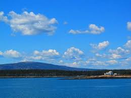 mountains on mr desert from schoodic point picture of