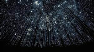 Starry Night Sky Room Wallpaper Sok Pa Google Night Sky Wallpaper Night Sky Photos Starry Night Wallpaper