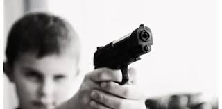 Zambia Legal Information Institute