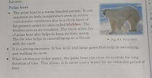 It has nostrils that can open and close. What Are The Adaptations Of Polar Bear 5 Points Brainly In