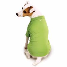 You'll receive email and feed alerts when new items arrive. Zack Zoey Cotton Polo Shirt For Dogs Chihuahua Kingdom
