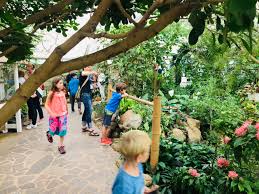 Hier bieten sich trockenmauern und warme, offenerdige plätze an. Garten Der Schmetterlinge In Friedrichsruh Bei Aumuhle