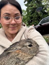 Took in three emergency rescues today. brings our rabbit total to 6. They  were definitely well loved and are very fat! Their previous mama was in a  bad life situation she had