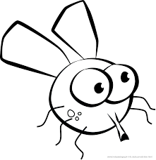 Fliege Ausmalbilder Ausmalbilder Fliege Ausmalbilder Ausmalen Malvorlagen