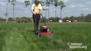 Black Decker Besta512cm Electric Lawn Mower Cordless The 5 Best Lawn Mowers For Small Yards In 2020 Plantscontrol Com
