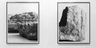 Bildergebnis für Dorit Margreiter