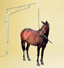 Spraying Boom Horse Shower Horses Equines Stables