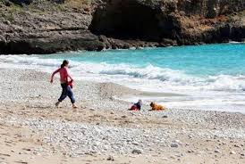 Hero Dog A Baby Crawling Towards The Sea But The Family S Dog Saved Their Baby Dog Stood In Front Of The Baby So Hero Dog Pr Kopek Hayat Veterinerler